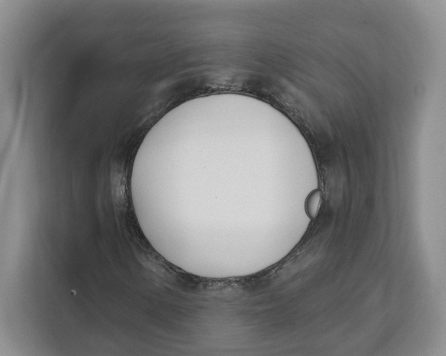 X0000111621154200908071345