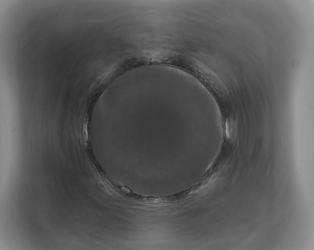 X0000111621155200908071345