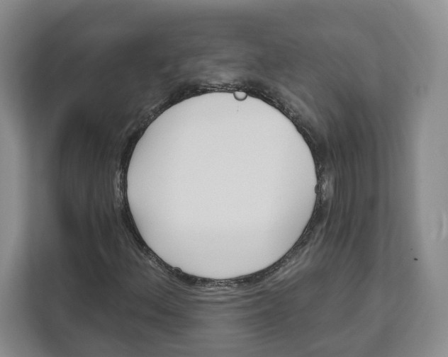 X0000111621156200908071345