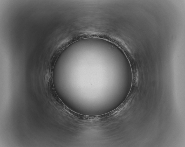 X0000111621157200908071345