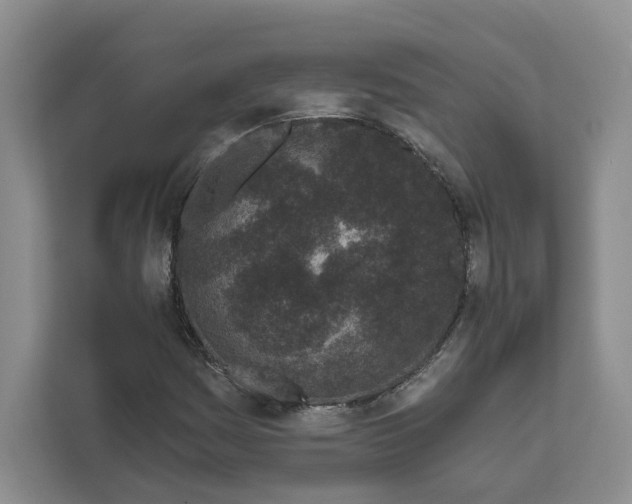 X0000111621161200908071345