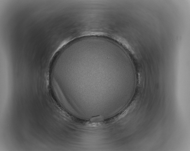 X0000111621165200908071345