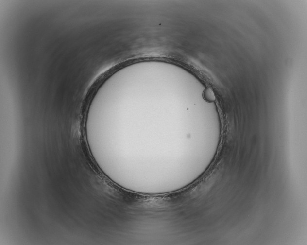 X0000111621166200908071345