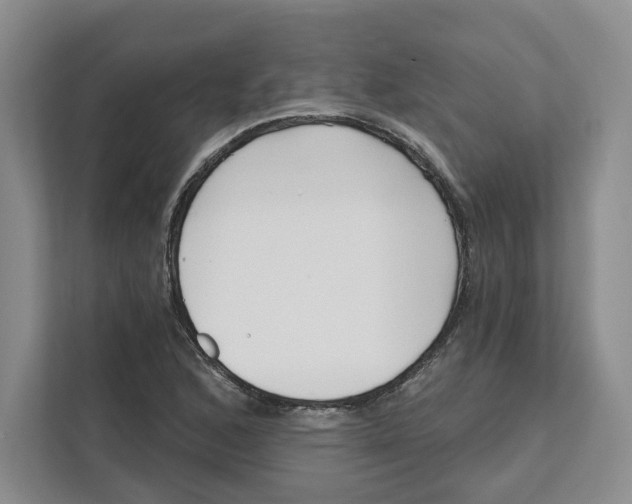 X0000111621168200908071345