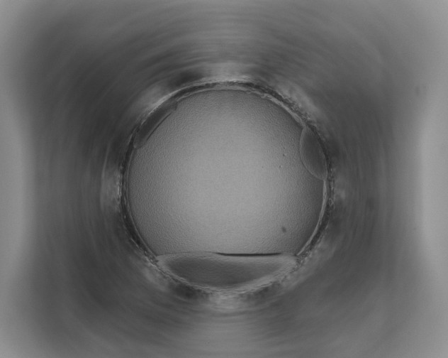 X0000111621169200908071345