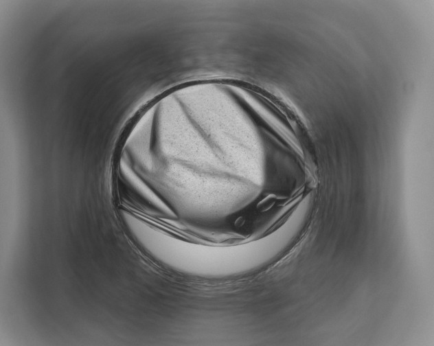 X0000111621173200908071345