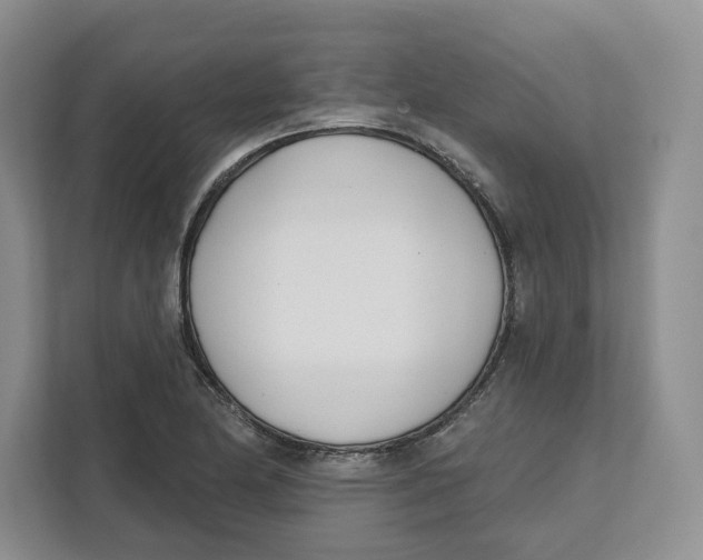 X0000111621174200908071345