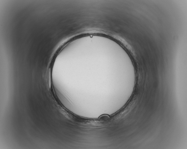 X0000111621175200908071345