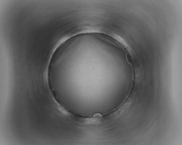 X0000111621181200908071345