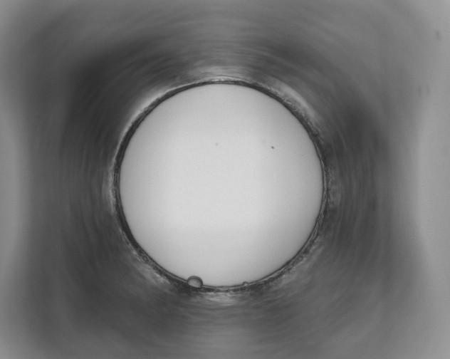 X0000111621182200908071345