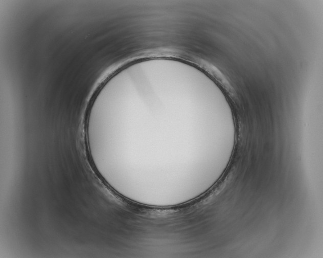 X0000111621184200908071344