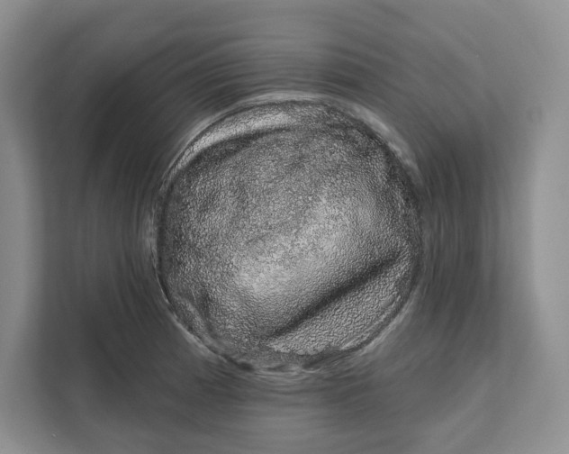 X0000111621185200908071344