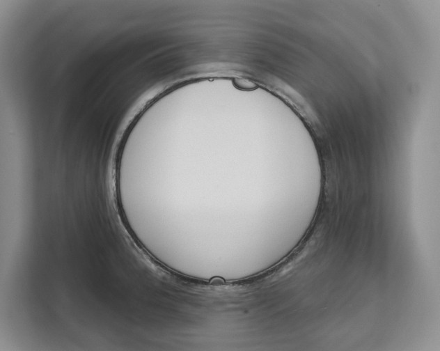 X0000111621188200908071344