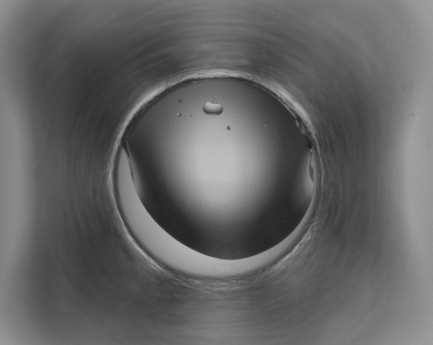 X0000111621189200908071344