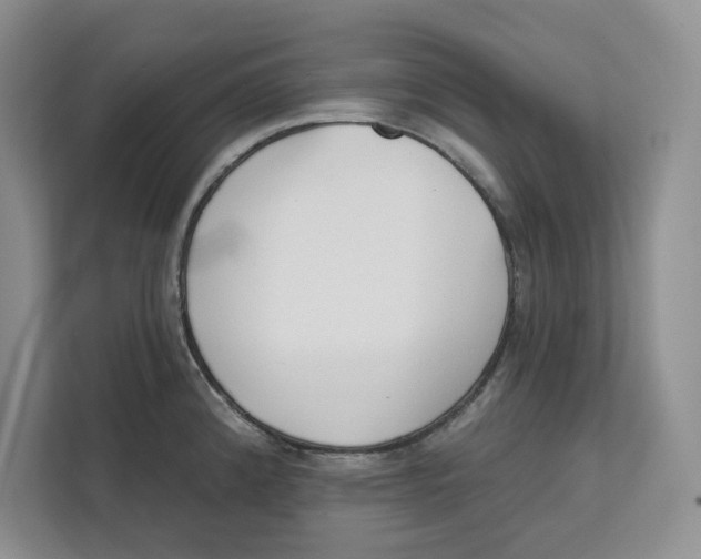 X0000111621192200908071344