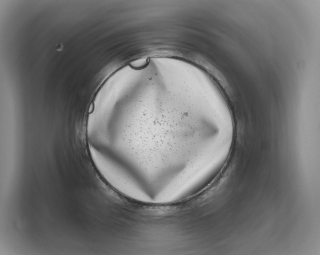 X0000111621193200908071344