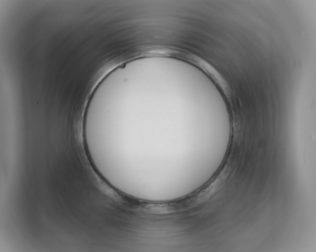 X0000111621194200908071344