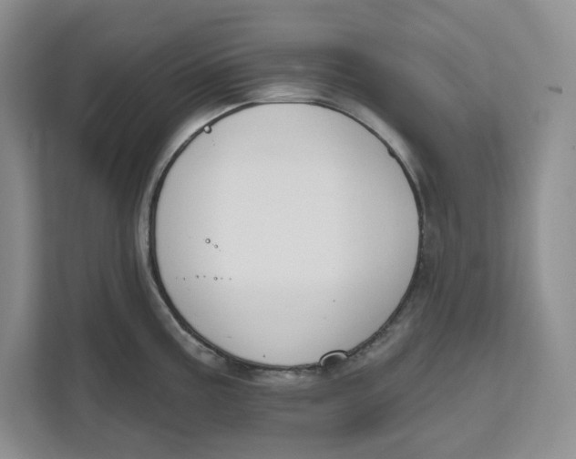 X0000111621195200908071344