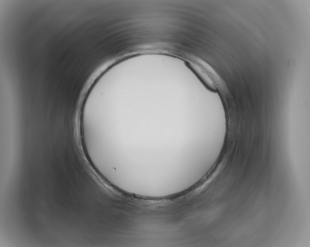 X0000111621196200908071344