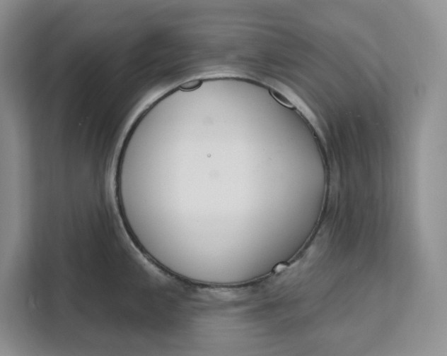 X0000111621197200908071344