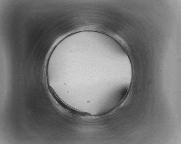 X0000111621200200908071344