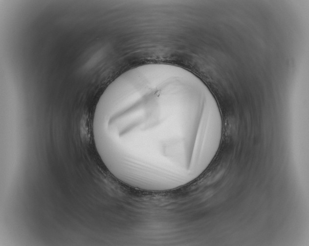 X0000111621202200908071344