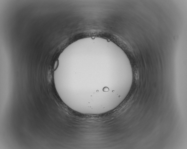 X0000111621204200908071344