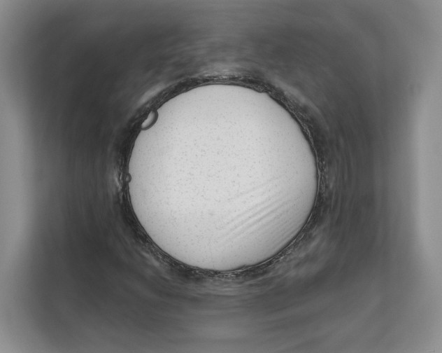 X0000111621206200908071344