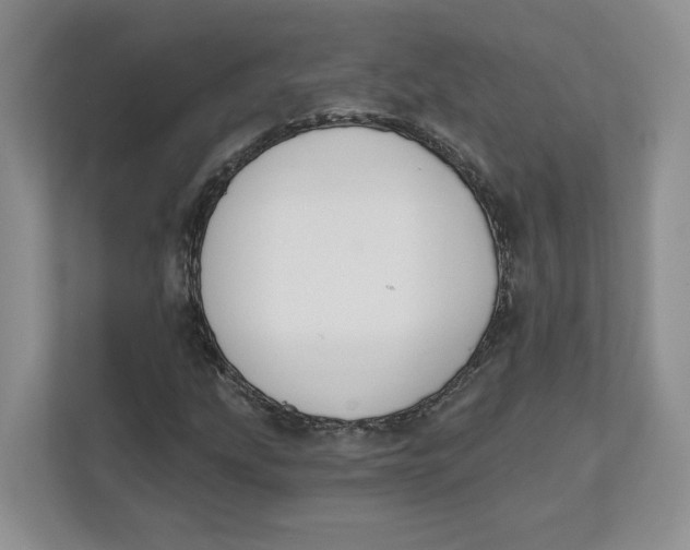 X0000111621207200908071344