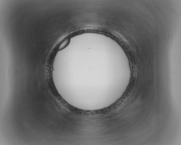 X0000111621208200908071344