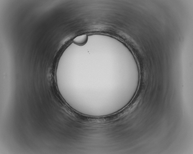 X0000111621210200908071344