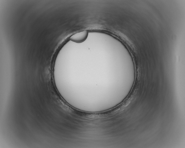 X0000111621212200908071344