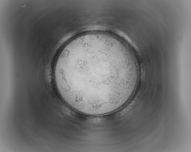 X0000111621213200908071344