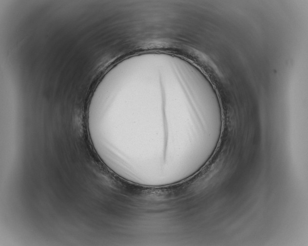 X0000111621217200908071344