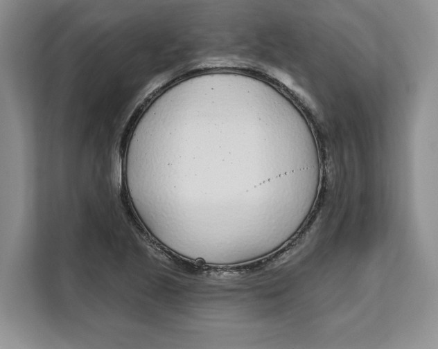 X0000111621221200908071344