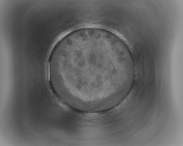 X0000111621223200908071344