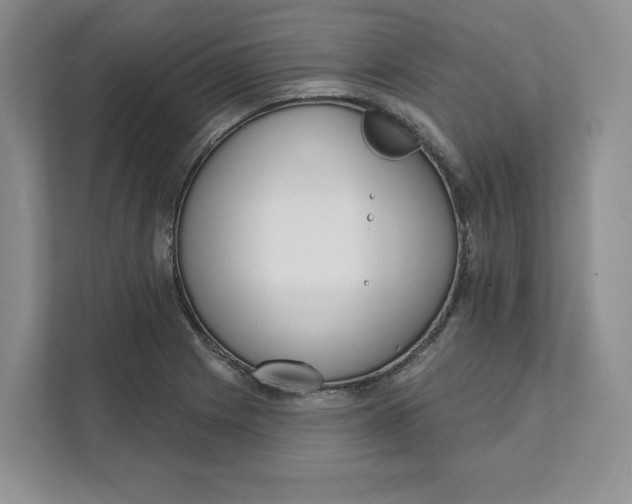 X0000111621225200908071344