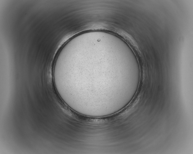 X0000111621226200908071344