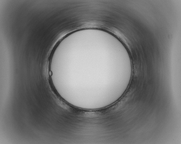 X0000111621227200908071344