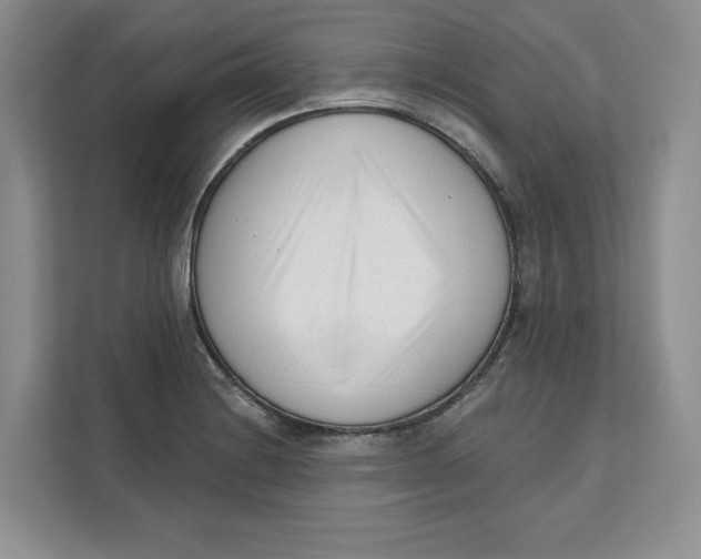 X0000111621228200908071344