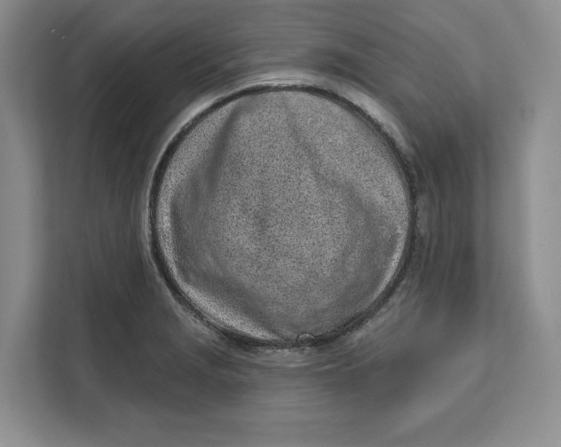 X0000111621229200908071344