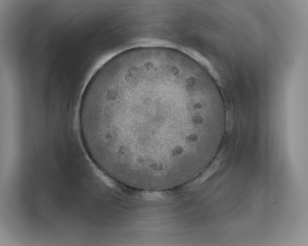 X0000111621231200908071344