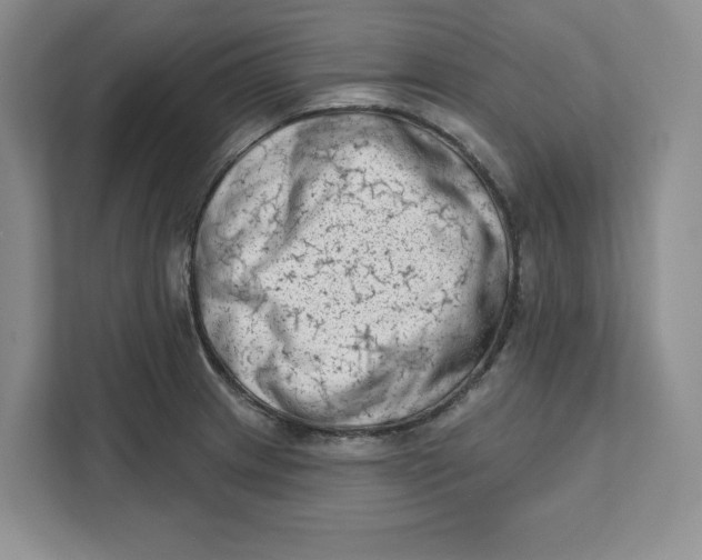 X0000111621233200908071344