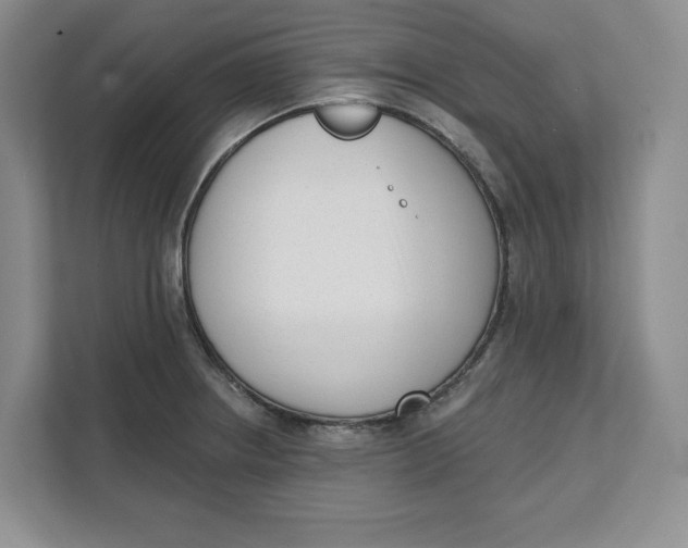 X0000111621234200908071344