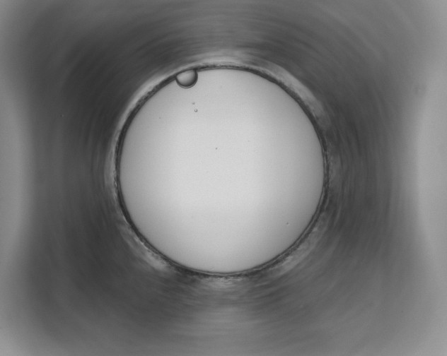 X0000111621240200908071344