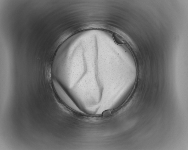 X0000111621241200908071344