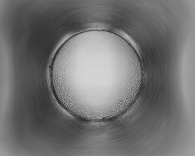 X0000111621243200908071344