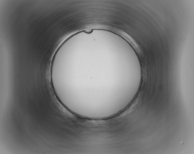 X0000111621244200908071344