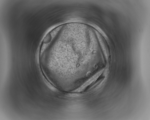 X0000111621246200908071344