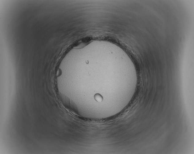 X0000111621249200908071344